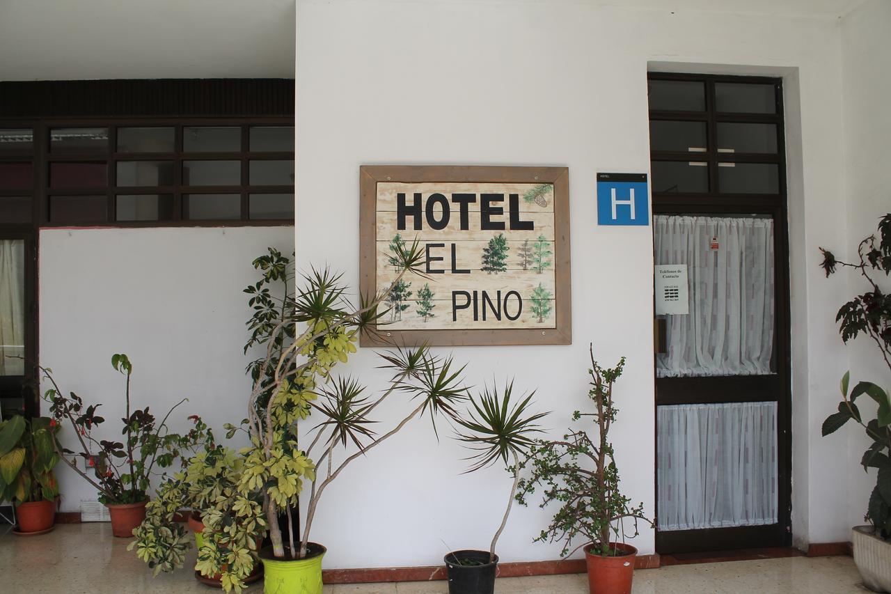 Hotel El Pino テロル エクステリア 写真